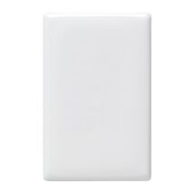 Linea - Blank coverplate white