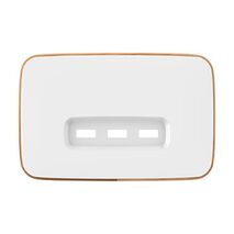 Clipsal Iconic, Essence USB Charging Station Skin, 3 Gang - Arctic White