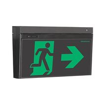 LCFPRO-TH-DS-RAOW