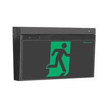 LCFPRO-TH-R
