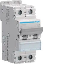 MCB 2P 6kA D-40A 2M