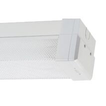 CBS4LEDS-LO-DIF-MS-HL
