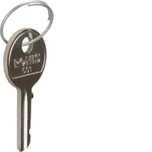 2 Spare keys for SK606
