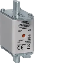NH fuse NH00 gG 500V 160A central indicator live grippings