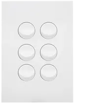FIN 6 Gang Switch Plate cw mechs MW