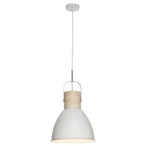 Calico 1Lt Pendant Light