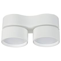 Diaz 24W Tri-Colour Twin Head Surface Mount Downlight