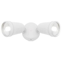 Otto II 2Lt LED Flood Light