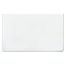 BLANK PLATE,