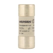 Mersen FR Cylindrical Fuse 22 x 58mm 500V AC 125A