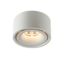 Round Surface Mount DL White Tri Color 10w
