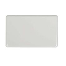 N/BPT - Blank Plate Slimline White