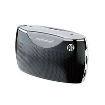 Portable AC/DC Radio | AM/FM with Built-in Antenna | Compact & Battery Operated | Black by GAF
