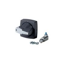 Rotary Door Handle | Lockable with Padlock | 90° Switching Angle | Gray by Eaton