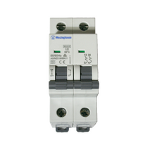 MCB 20A 2P C Curve 6kA
