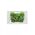 Leopard - Power Point Switched 2 Gang, 15A 250V~  x10 - LEPP152G