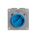 Isolation Switch 1 Pole 10A IP66