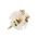 Extension Plug 3 Pin 15A