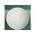 Alabaster (Oyster)