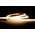 10w IP54 24v DC 4000K CSP Dotless LED Strip