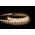 14.4w 12v DC IP54 LED Strip 4000k