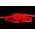14.4w IP67 24v DC Side Bend HaviFlex Flexible Neon LED Strip RGBW