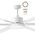 Albatross 72" DC Ceiling Fan With Remote