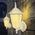 Brilliant Beige Villa Coach Wall Light