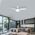 Brilliant White LED 22W Light Kit for Mascot DC Ceiling Fan