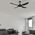 Brilliant Black Vector 48” DC Ceiling Fan