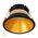Gleam Black with Gold Insert Fixed Dim to Warm LED Downlight