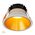 Gleam White with Gold Insert Fixed Dim to Warm LED Downlight