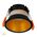 Gleam Black with Gold Insert Fixed Dim to Warm LED Downlight