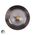 Ora 316 Stainless Steel Fixed Five Colour LED Downlight