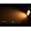 Gleam Black with Gold Insert Fixed Dim to Warm LED Downlight