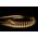 4.8w 24v DC IP20 LED Strip 4000k