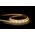 9.6w 12v DC IP54 LED Strip 4000k