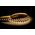 14.4w 24v DC IP20 LED Strip 4000k