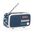 VQ Dexter DAB/DAB+ Digital & FM Radio - Laura Ashley Elveden Navy - VQDEXTERLAN
