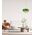 PENDANT ES 40W DOME Orange Glass x3 w/Brass Highlight OD420mm