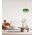 PENDANT ES 40W DOME Orange Glass x3 w/Brass Highlight OD420mm