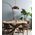 PENDANT ES Black Walnut DOME OD400mm