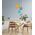 PENDANT SES 10W Frosted Ellipse Glass Segmented w/Brass Highlight Enclosed OD150mm
