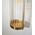 Wall Int S/M 2 x SES Up/Dn 2 x TUBULAR CLR Glass w/ Black Base