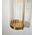 Wall Int S/M 2 x SES Up/Dn 2 x TUBULAR CLR Glass w/ White Base