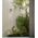 PILLAR FIXED GU10 Solid Polished Brass IP65 RND B/Plate