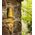 WALL S/M 12V MR16 CONE Antique Brass IP65