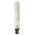 GLOBE CARBON ES T9 25W 2000K 50 Lm