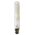 GLOBE CARBON ES T9 25W 2000K 50 Lm