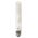 GLOBE CARBON BC T9 25W 2000K 50 Lm